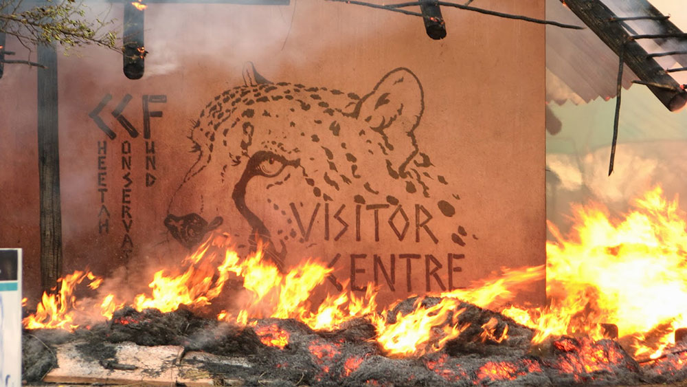 CCF’s Visitor Centre Destroyed by Fire
