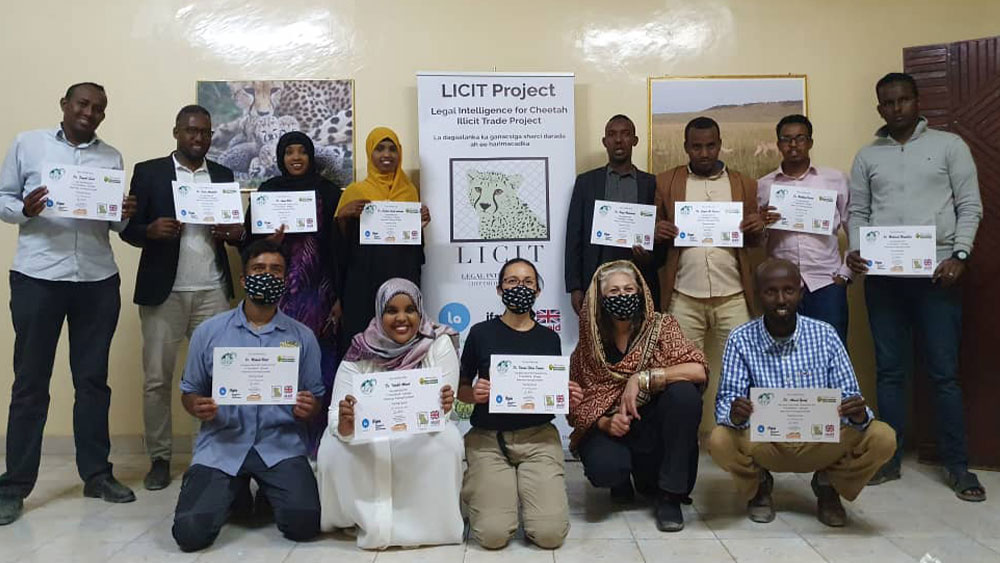 Cheetah Conservation Fund Holds First Training Workshop  for Somaliland Veterinarians