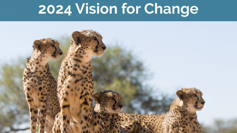 Cheetah Conservation Fund 2024 Resolutions