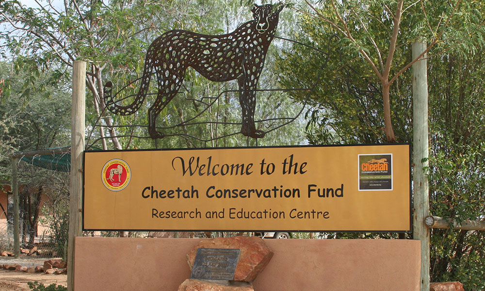 Environmental education at CCF's Research and Education Centre in Namibia