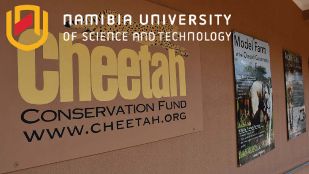 Nambia University of Science and Technology Students Take on Work Integrated Learning at CCF