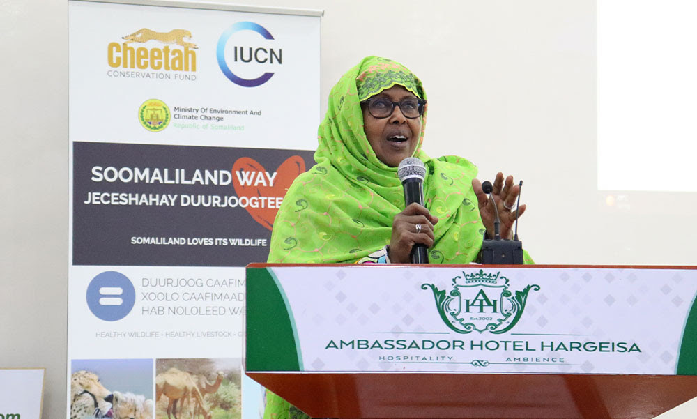 Cheetah Conservation Fund and Somaliland Ministry of Environment and Climate Change Hold Community Based Natural Resource Management Workshop